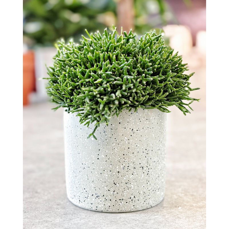 osłonka ceramiczna terrazzo 13 cm