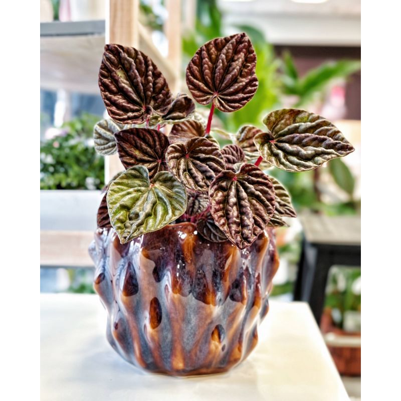 osłonka ceramiczna pękata brązowa 16 cm