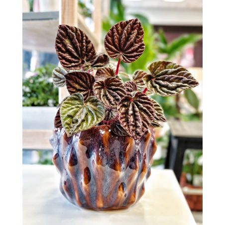 osłonka ceramiczna pękata brązowa 16 cm