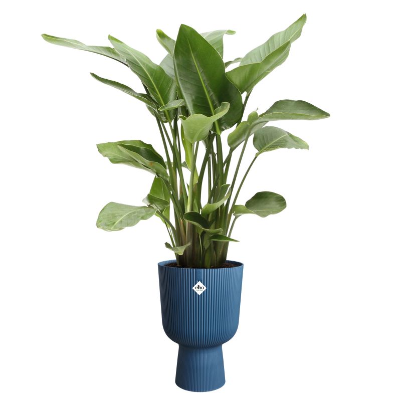 osłonka Elho vibes fold coupe deep blue 30 cm