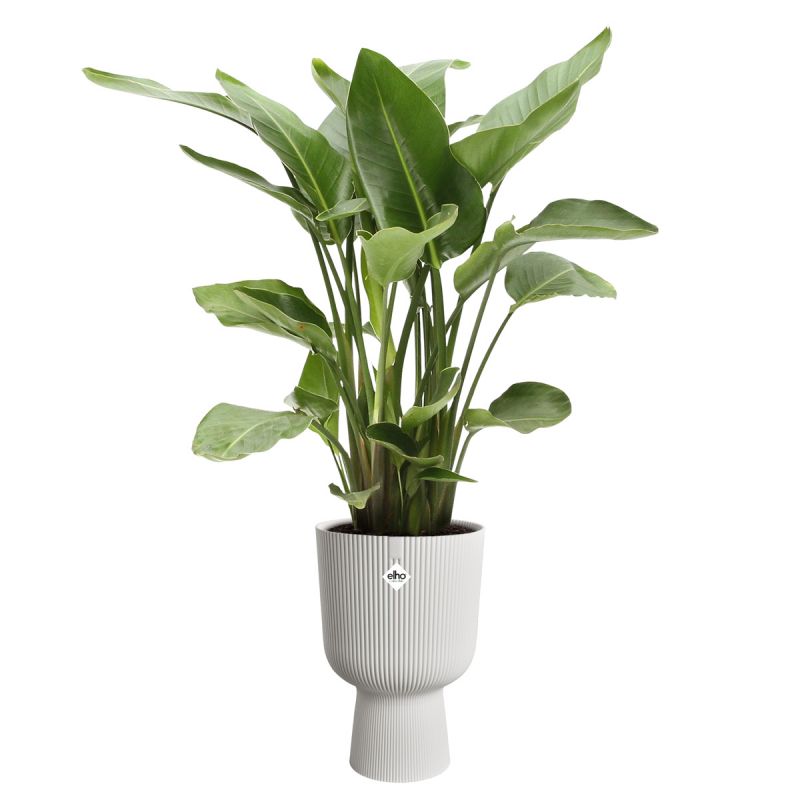 osłonka Elho vibes fold coupe silky white 30 cm