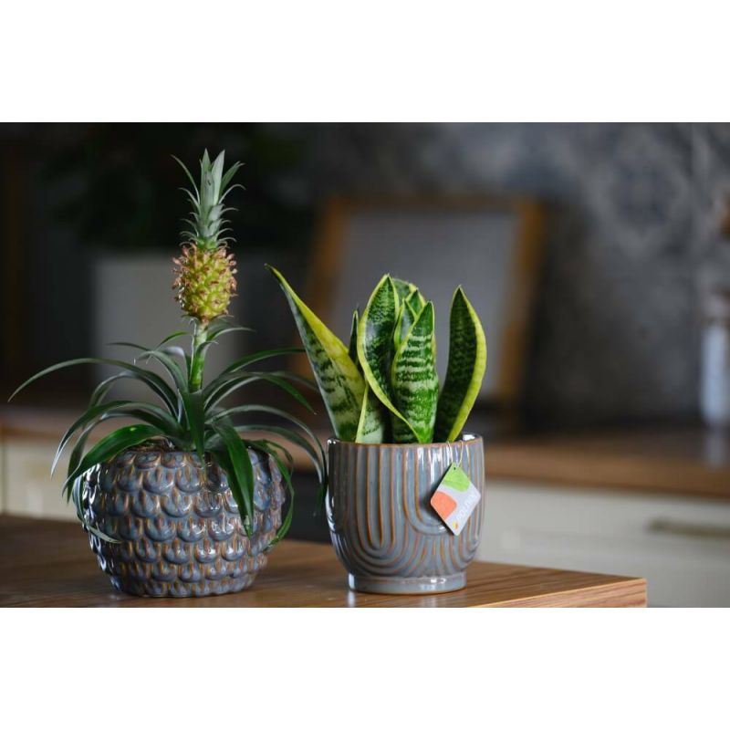 osłonka ceramiczna szyszka szara 16 cm