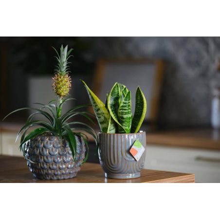 osłonka ceramiczna łuki szara 14 cm