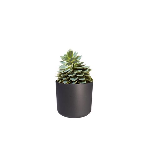 osłonka Elho b.for soft anthracite 16 cm