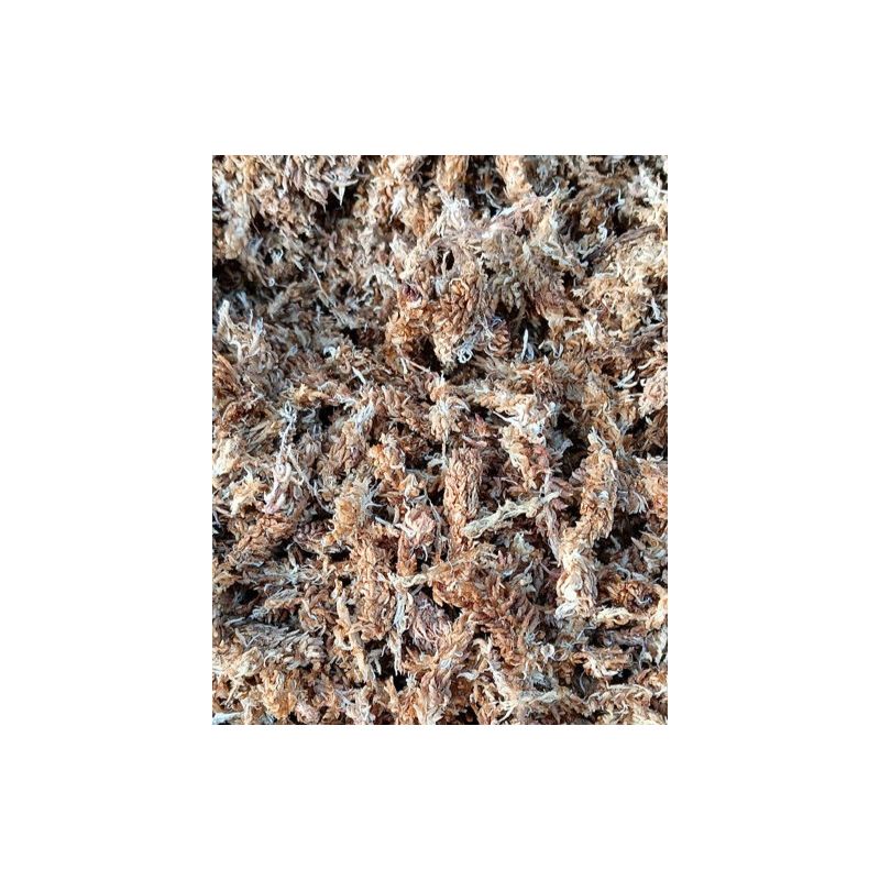 podłoże do roślin Sphagnum - mech torfowiec 3l podłoże do roślin Sphagnum - mech torfowiec 3l