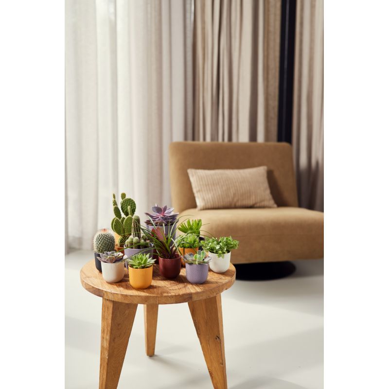 osłonka Elho jazz tuscan red 07 cm