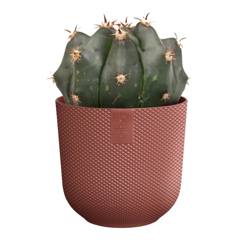 osłonka Elho jazz tuscan red 07 cm