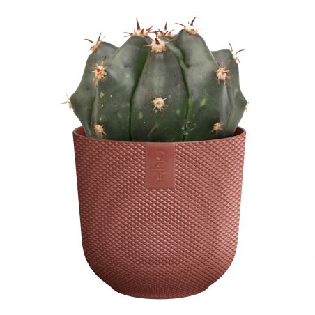 osłonka Elho jazz tuscan red 07 cm