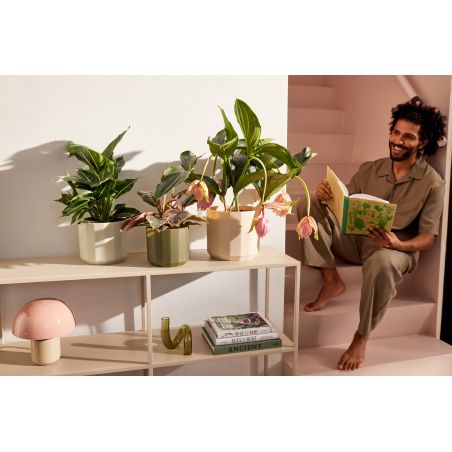 osłonka Elho facet almond pink