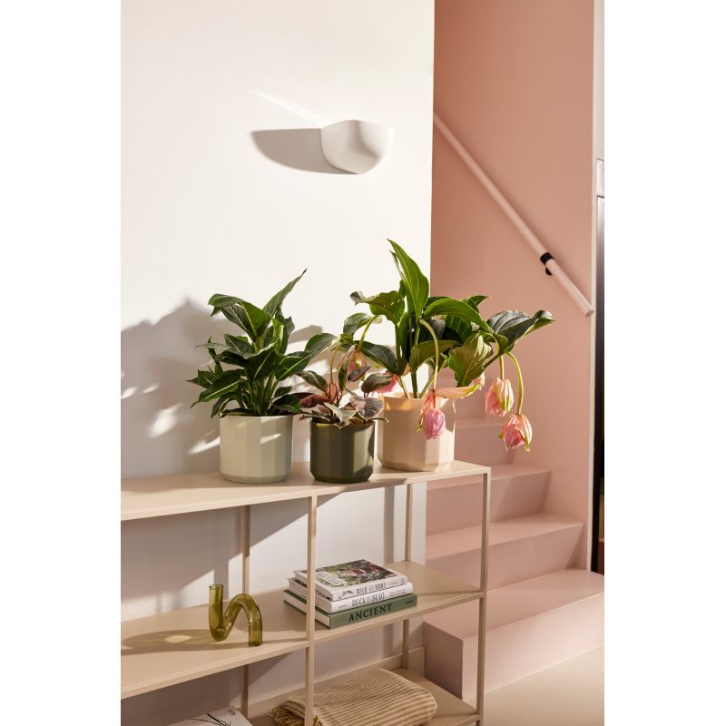 osłonka Elho facet almond pink