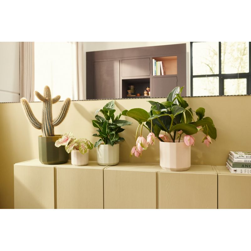 osłonka Elho facet almond pink