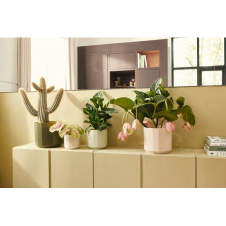 osłonka Elho facet forest green