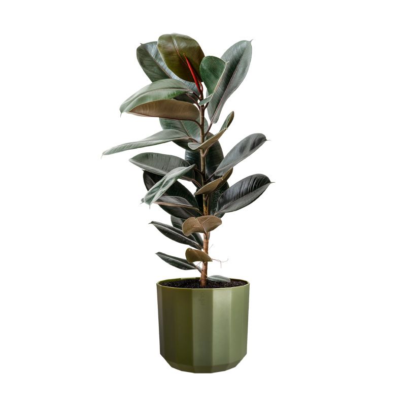 osłonka Elho facet forest green