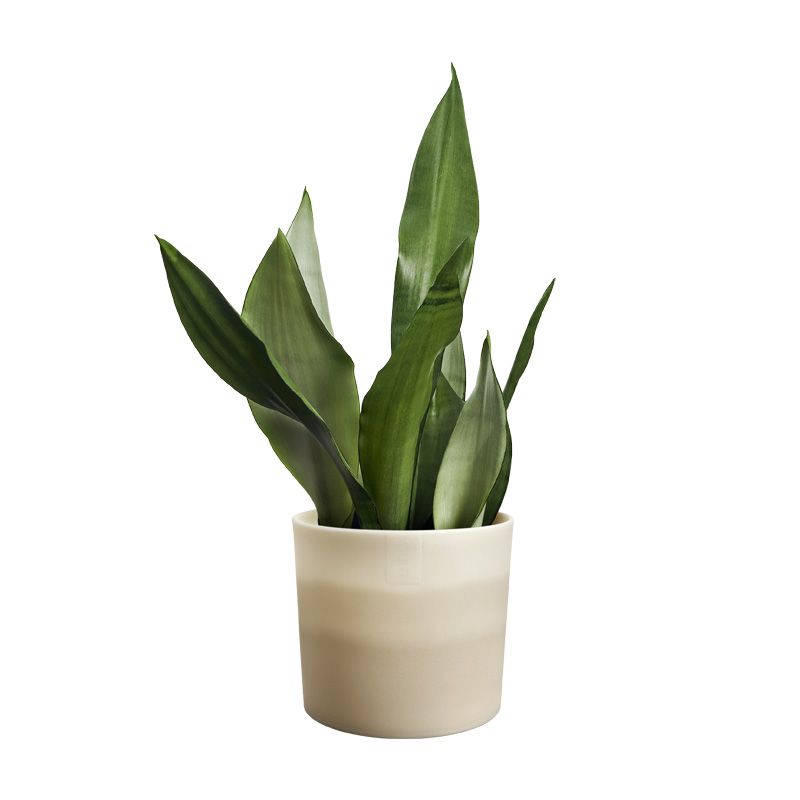 osłonka Elho colour gradient sandstone beige