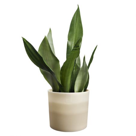 osłonka Elho colour gradient sandstone beige