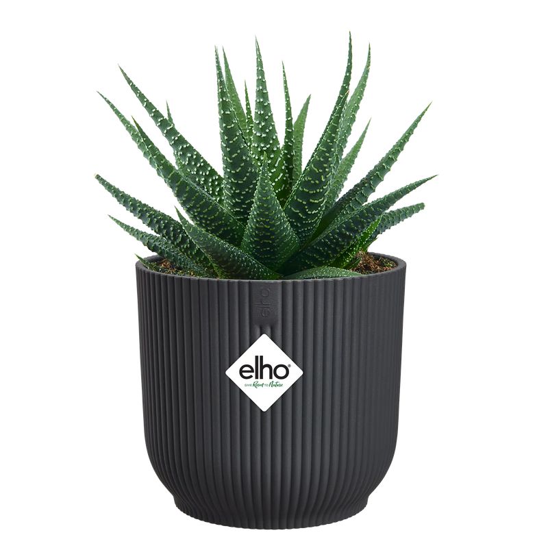 osłonka Elho vibes fold anthracite 25 cm