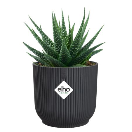 osłonka Elho vibes fold anthracite 25 cm