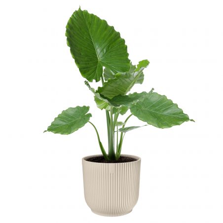 osłonka Elho vibes fold linen white 18 cm