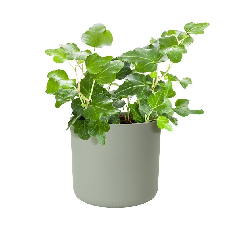 osłonka Elho b.for soft stone green 14 cm