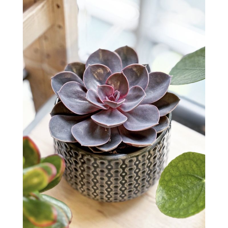 osłonka ceramiczna wzorek szara 13 cm