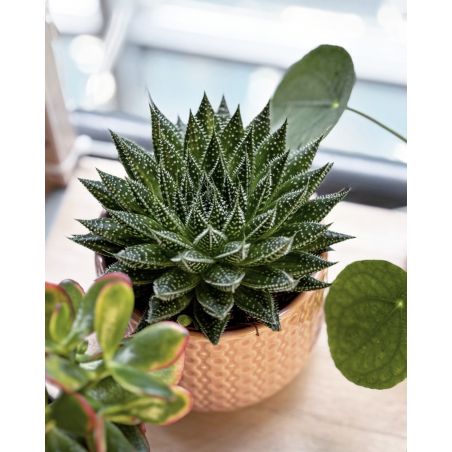 osłonka ceramiczna wzorek różowa 13 cm