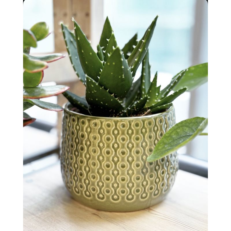 osłonka ceramiczna wzorek zielona 13 cm