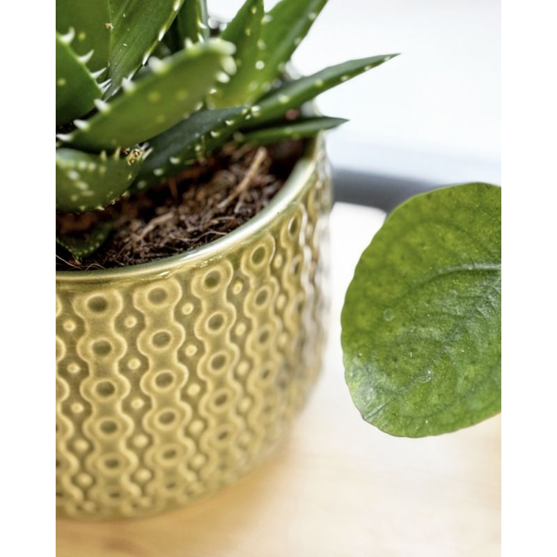 osłonka ceramiczna wzorek zielona 13 cm