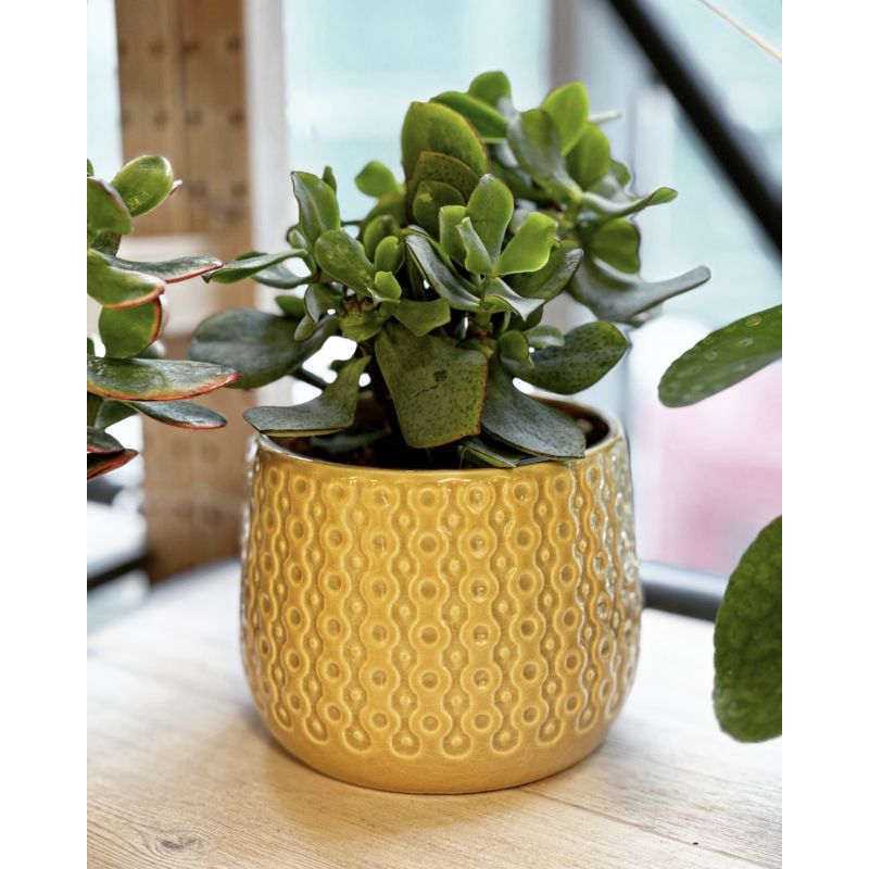 osłonka ceramiczna wzorek żółta 13 cm