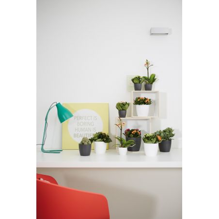 osłonka Elho brussels anthracite 07 cm